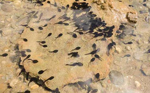 С����������ѧ��˼