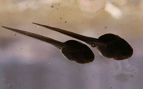 С����������ѧ��˼