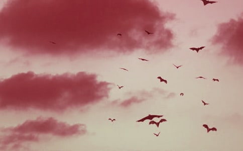 ��������״�Ľ�ѧ��˼5ƪ