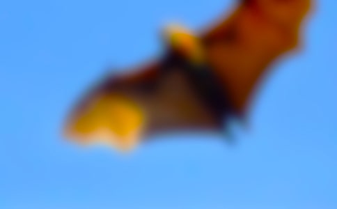 ��������״�̰�����ѡ9ƪ��