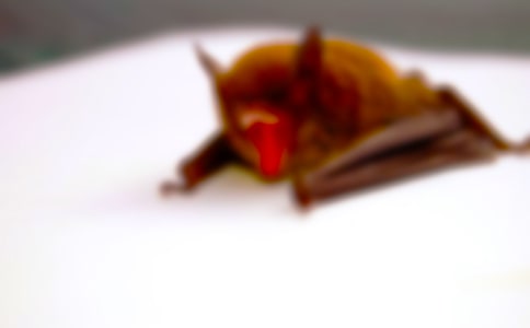 ż��������_д������