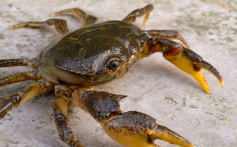 �з���ռ�15ƪ