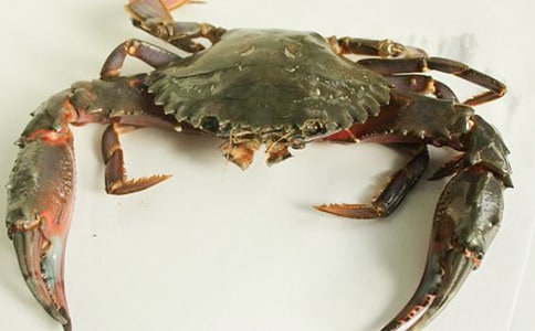 中班健康螃蟹赛跑教案