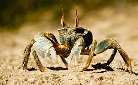 С����Ϸ�з������Ͻ̰�