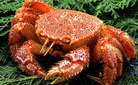 螃蟹煮熟后为什么会变色日记