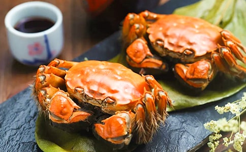 《小螃蟹找工作》大班教案