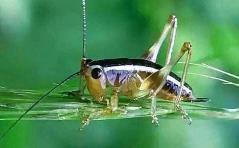 �����סլ���̰�15ƪ(��)