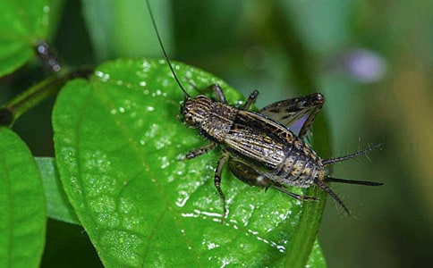 �����סլ���Ľ�ѧ��˼��Ʒ��15ƪ��