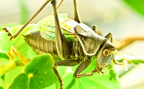 �����סլ��˵�θ� 11ƪ