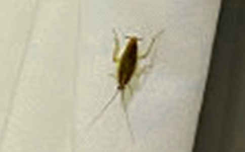 ������ռ�