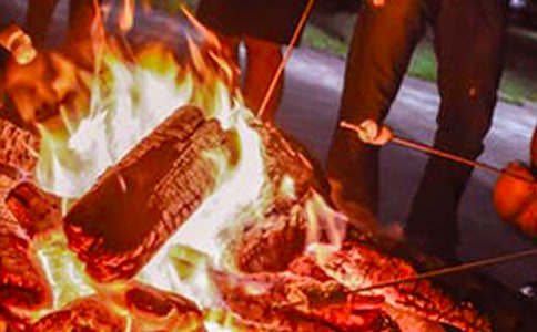 �����������ָ�15ƪ