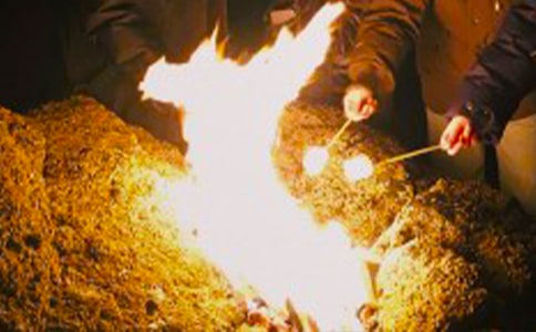 ���������������ִ�