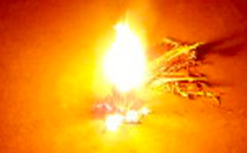  ��������Сѧ����