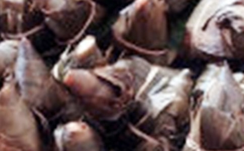 ���ӵ��ռ�