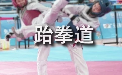 跆拳道日记12篇