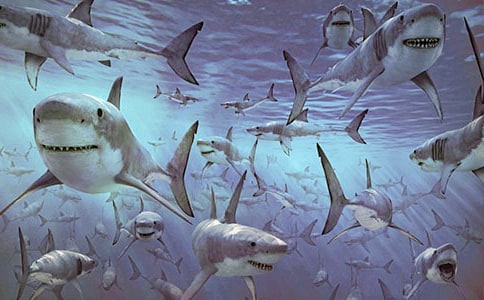 ����Ц�����㡷���Խ̰�