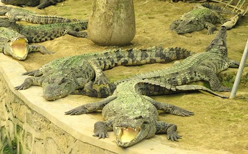 �а����Խ̰���С�����Ǯ����