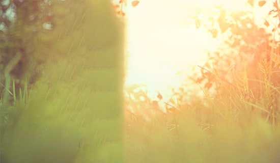 描写土耳其的唯美句子