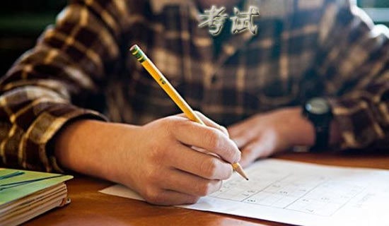 ���д�ҵ�ʸ����������