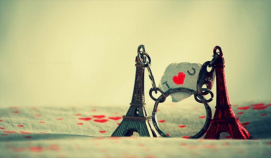 ���Ǽ����ǵĻ�--ǳ�������䡢����֥���鱯��(��������)