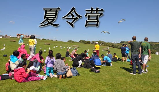 ��ѧ����Ӫѧ��������