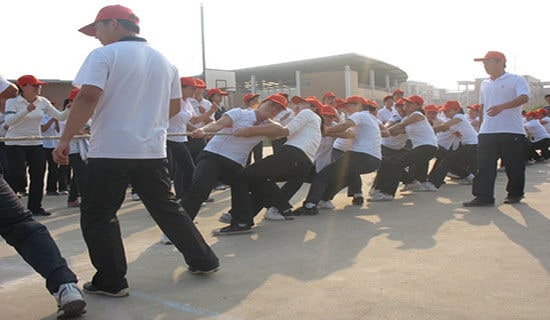 ���Ƽ����κ�Сѧ����