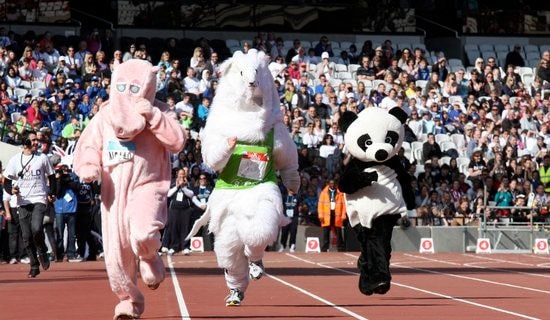 �Ƽ�Сѧ���˶���㲥��