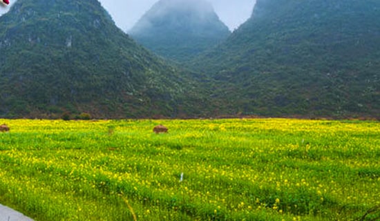 �����ܼ����꼶